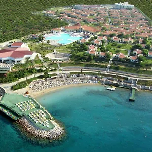 ***** Complex Palm Wings Turcia